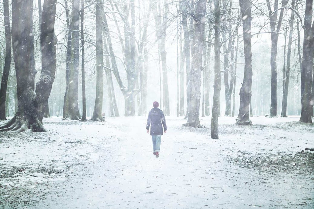 Transgender thoughts on a winters day