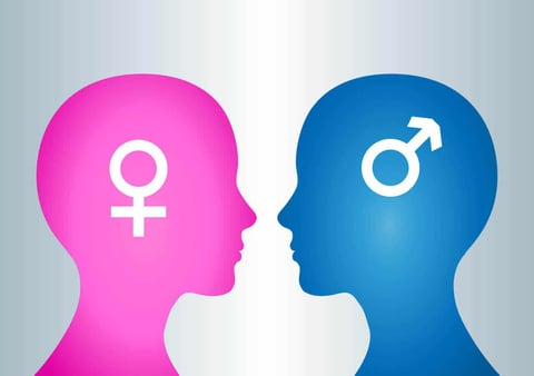 What sex is your brain?