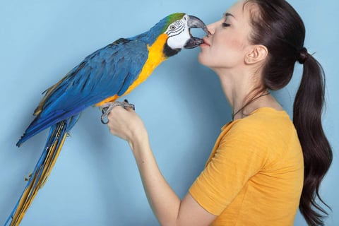 A life with women and birds