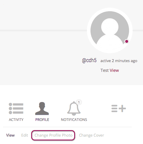 Change Profile Photo