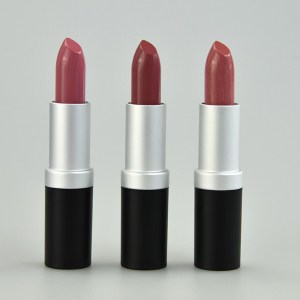 En Femme Brown-Natural Lipstick Kit