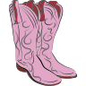 Cowgirl Boots
